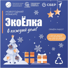Друзья! 1 декабря стартует областной конкурс «ЭкоЁлка в каждый дом!»