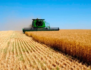 В Кировской области планируют создать агропромышленный кластер «Вятка AgroFoоd»