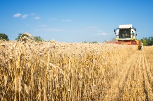 Экспортёры сельхозпродукции смогут компенсировать расходы на транспортировку