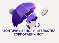 Для малого бизнеса Кировской области работают «зонтичные» поручительства