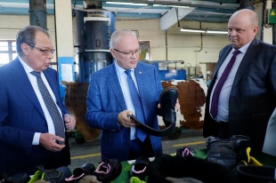 Кировская область разработает предложения для поддержки российского кожевенного производства