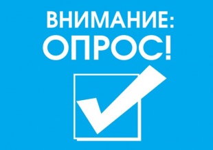 Проведение опроса организаций